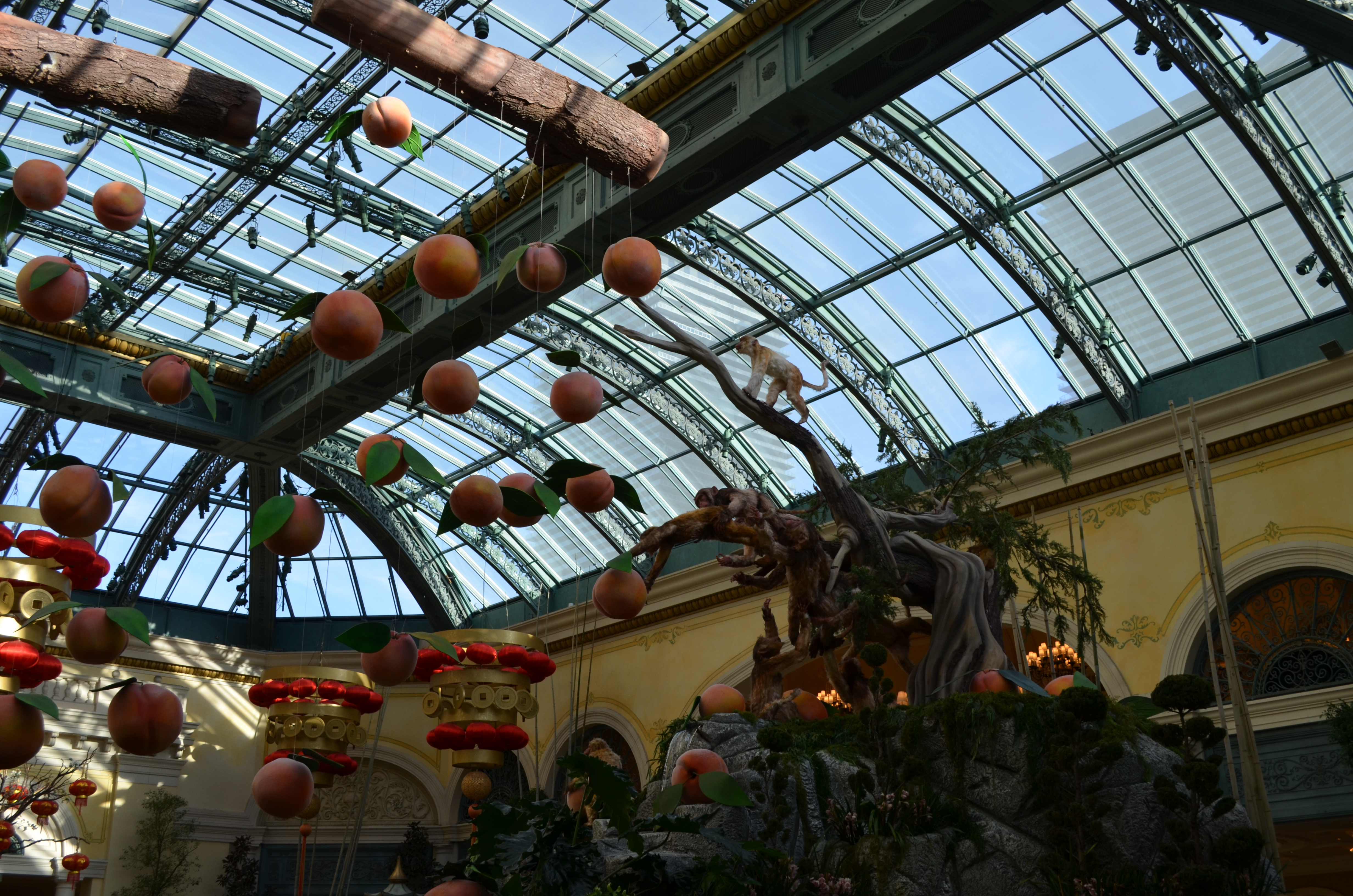 ./2016/04 - Las Vegas/Miscellaneous/DSC_0488.JPG